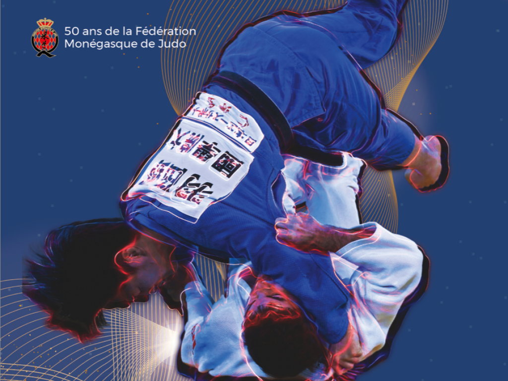 Image de l'actu 'Stage Jujitsu du 14 Mai'